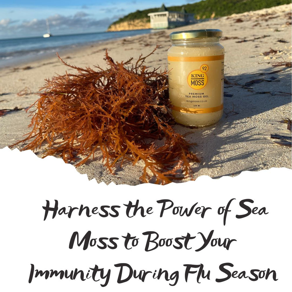 Harness the Power of Sea Moss to Boost Your Immunity During Flu Season