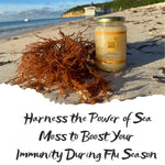 Harness the Power of Sea Moss to Boost Your Immunity During Flu Season